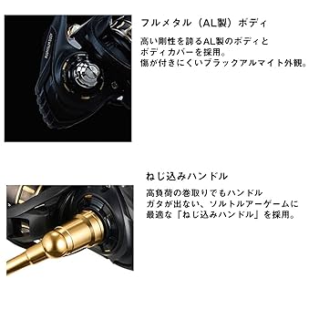 Amazon | ダイワ(DAIWA) ショアジギング スピニングリール 23BG